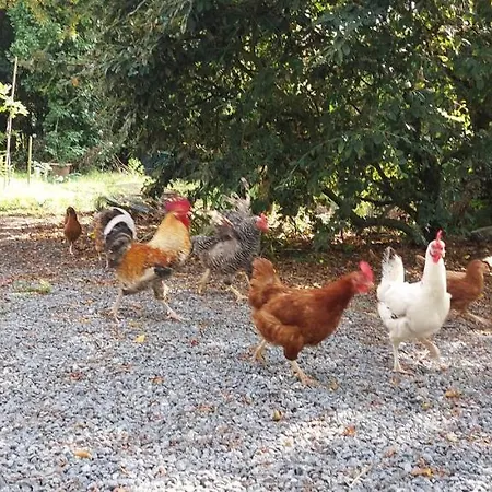 Apartmán Duplex A - Escapade Confort Entre Nantes & L'ocean *