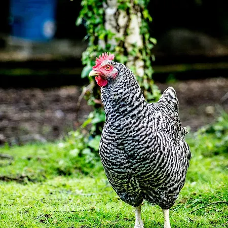 Duplex A - Escapade Confort Entre Nantes & L'ocean Savenay