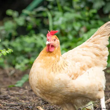 Duplex A - Escapade Confort Entre Nantes & L'ocean Lägenhet