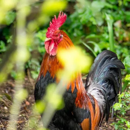 Duplex A - Escapade Confort Entre Nantes & L'ocean Lägenhet *