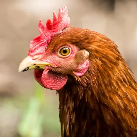 Duplex A - Escapade Confort Entre Nantes & L'ocean *