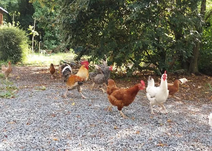 Daire Duplex A - Escapade Confort Entre Nantes & L'ocean *