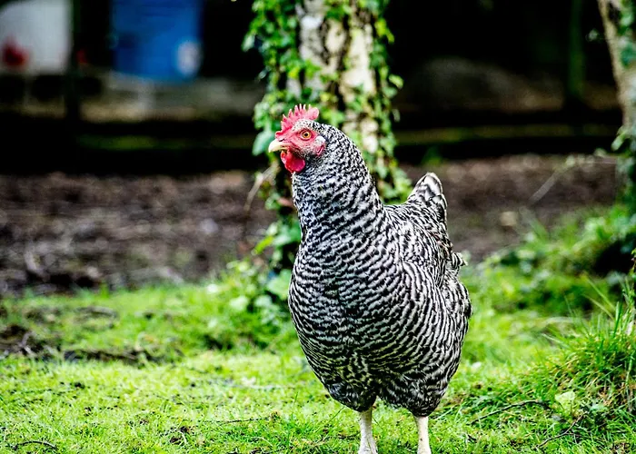 Entre Nantes&st Nazaire - Duplex à Savenay
