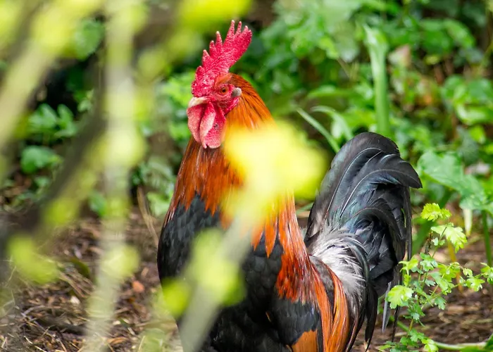 Duplex A - Escapade Confort Entre Nantes & L'ocean Apartman *